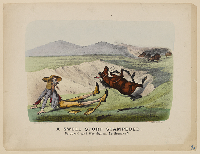 A Swell Sport Stampeded