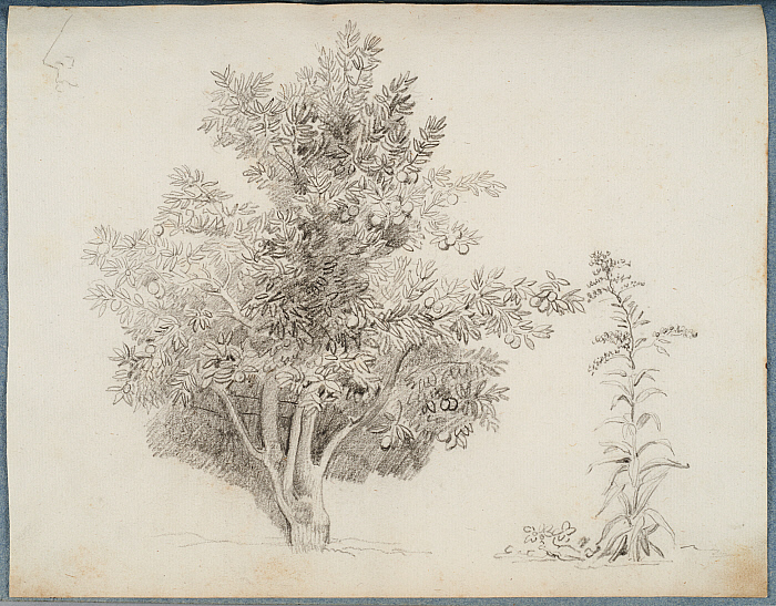 Landscape Album (Paysage) Slider Image 81