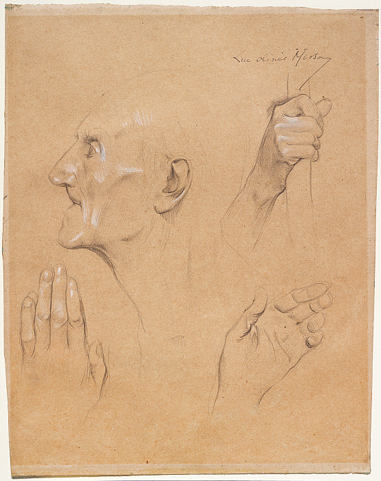 Study of a Head and Hands