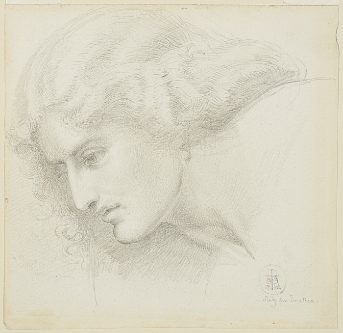 Portrait Study of a Woman