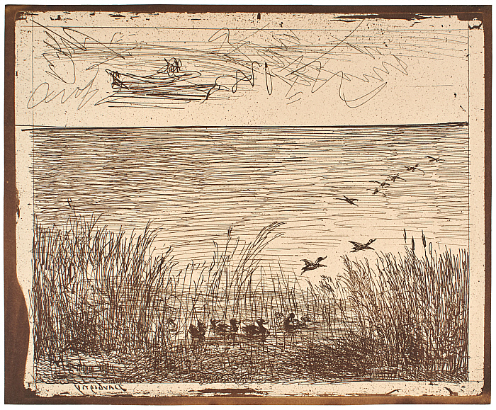 Ducks in the Marsh (Le Marais aux Canards)