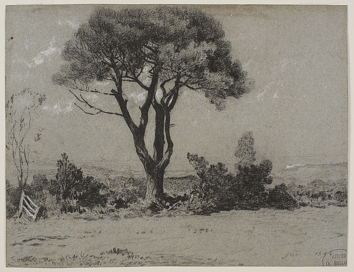 Landscape with a Tree