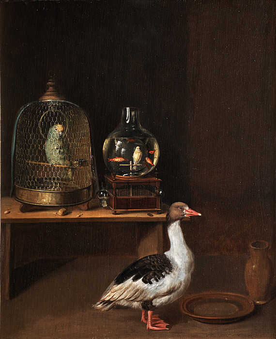 An Interior with a Parrot, Goose, and an Aquarium Bird Cage