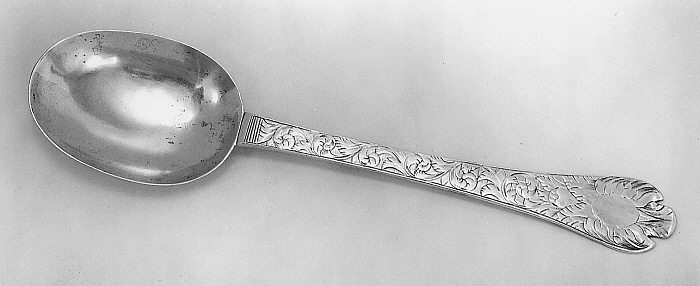 Trifid Spoon