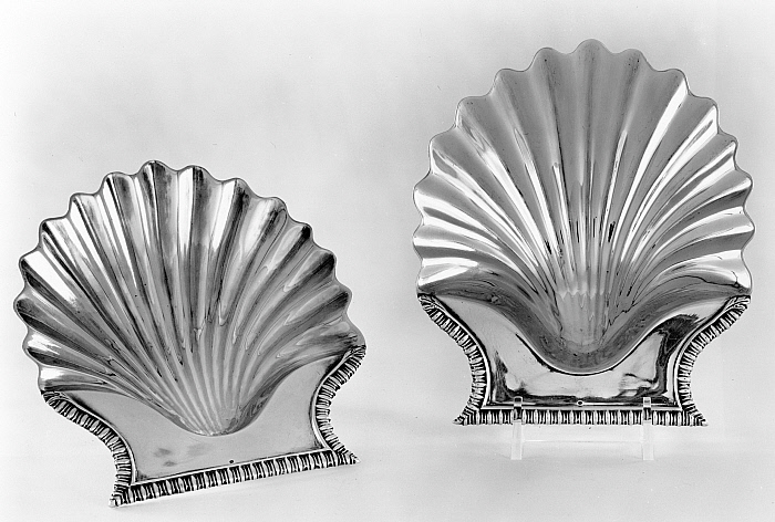 Pair of Shells