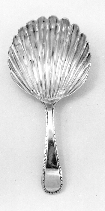 Caddy Spoon