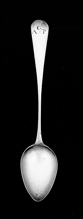 Tea Spoon