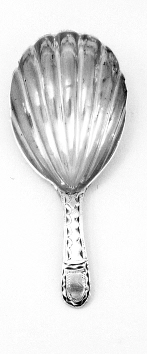 Caddy Spoon