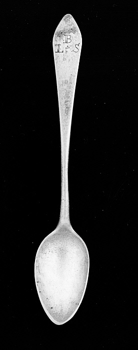 Spoon Flower Tea Shovel Tea Fashion Zinc Teaspoon Spoon Tool BL3 