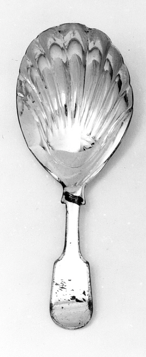 Caddy Spoon