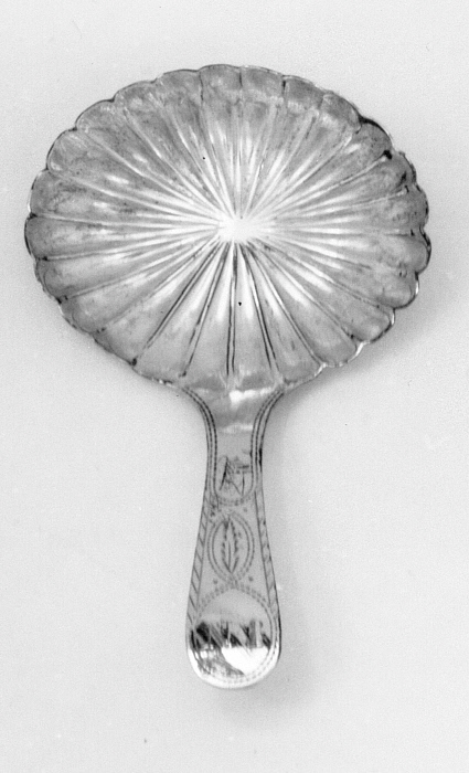 Caddy Spoon