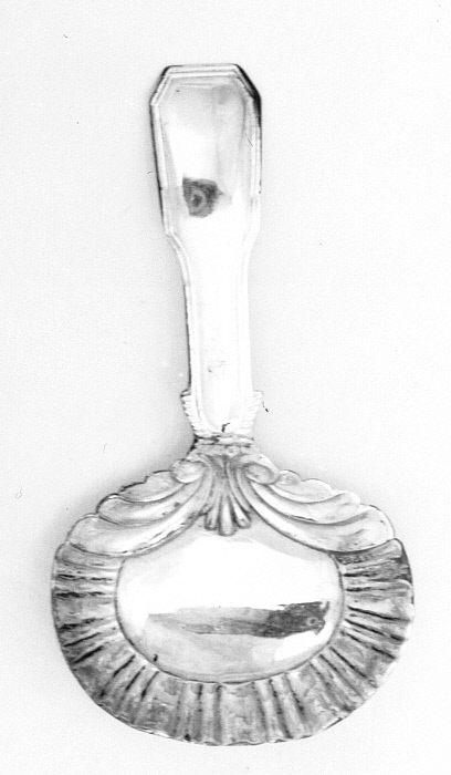 Caddy Spoon