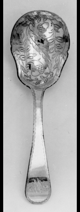 Caddy Spoon
