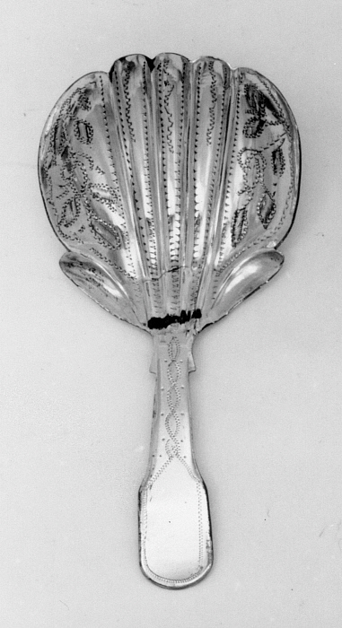 Caddy Spoon