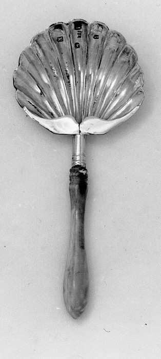 Caddy Spoon