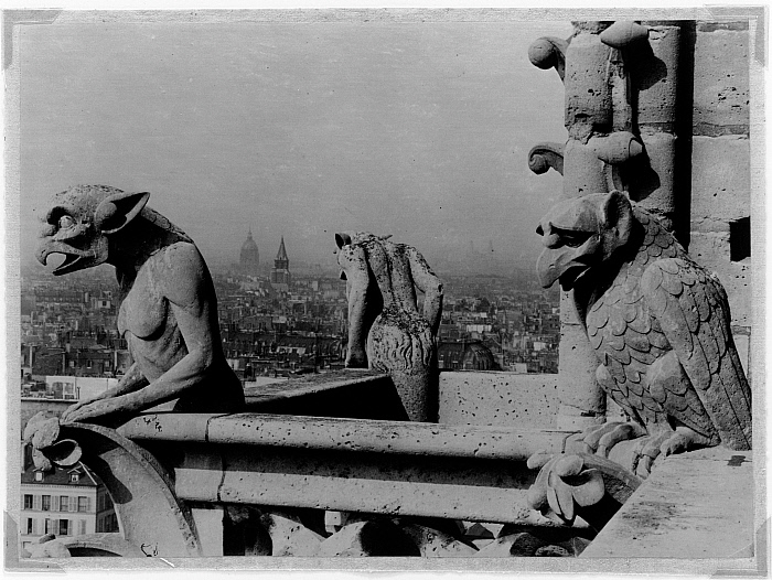 Chimeras, South Tower of Notre Dame, Paris