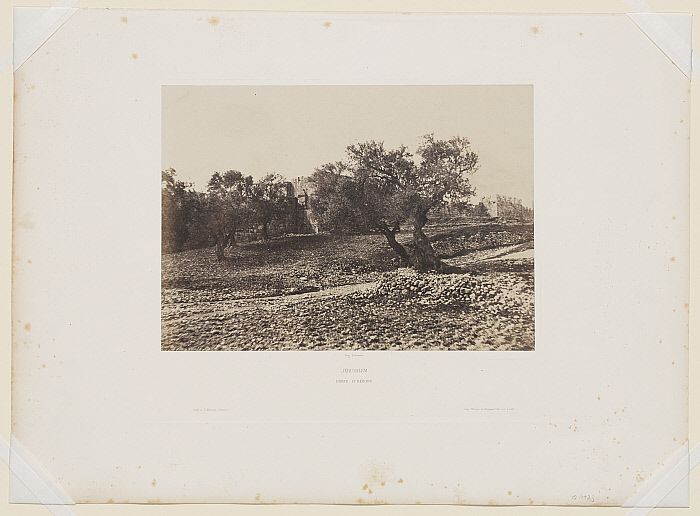 Jerusalem, Herod's Gate, with Trees