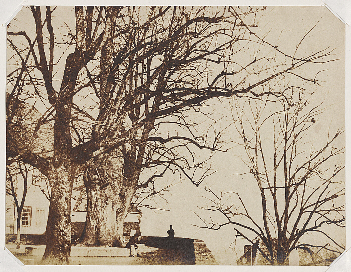 Scene at Neufchatel