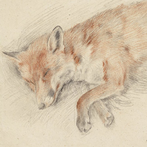 Study for "Dead Fox in the Forest"