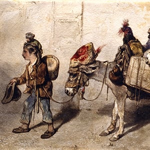 A Boy Leading His Animal Troupe