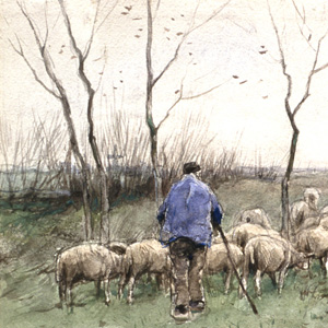 A Shepherd And His Flock