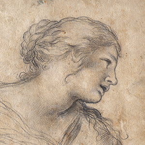 Head and Shoulders of a Woman