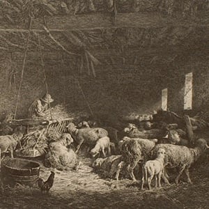 The Sheepfold (La bergerie)