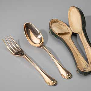Spoon and Fork in Case