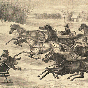 Trotters on the Snow