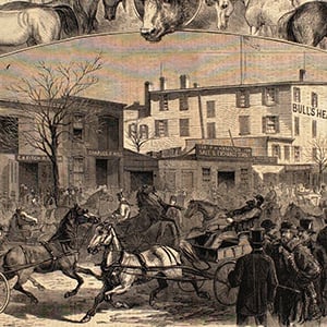 The Horse Market, Bull's Head, New York City