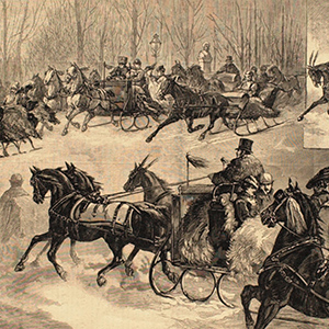 Sleighing in Central Park