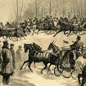 Sleighing in Central Park