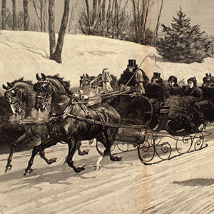 Sleighing in Central Park, New York City