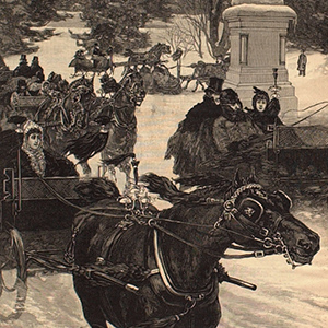 Sleighing in Central Park