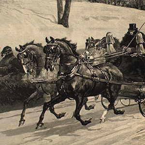 Sleighing in Central Park, New York City