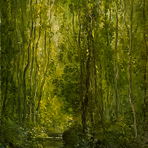 Woodland Scene