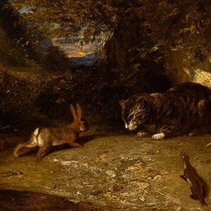Cat, Weasel, and Rabbit