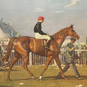Racehorse and Jockey