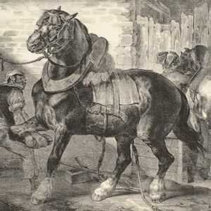 A French Farrier