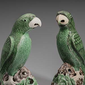 Pair of Parrots