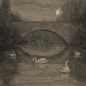 Evening, Swan Lake