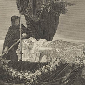 The Lady of Shalott