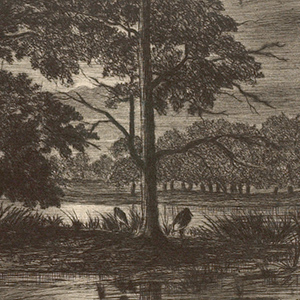 Douze Eaux-Fortes et Pointes Seches, IX: River Landscape with Birds