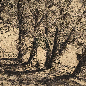 A Row of Trees along the Water, a Shack to the Left