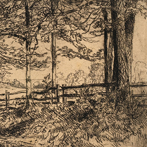 A Tree-Lined Road with a Post-and-Rail Fence Right