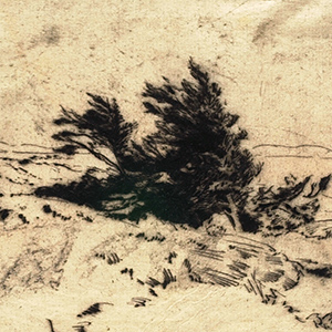 Coastal Landscape with a Clump of Windswept Trees in the Center