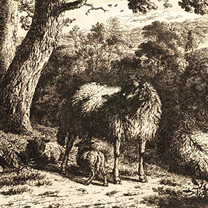 The Standing Sheep with Two Lambkins