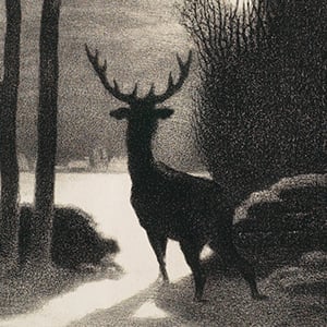 A Winter Stag