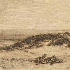 The Sea Serpent