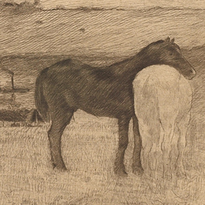 Horses in the Meadow